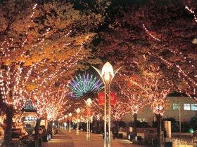 六甲布引温泉　料亭旅館　ほてるＩＳＡＧＯ神戸