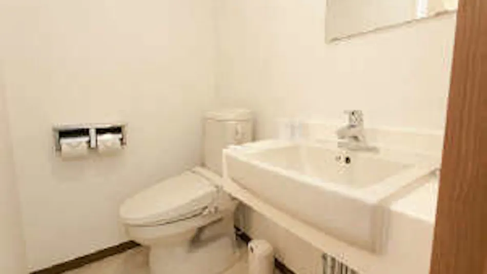 Hashima Daily Hotel