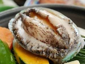 Abalon panggang di atas piring keramik!