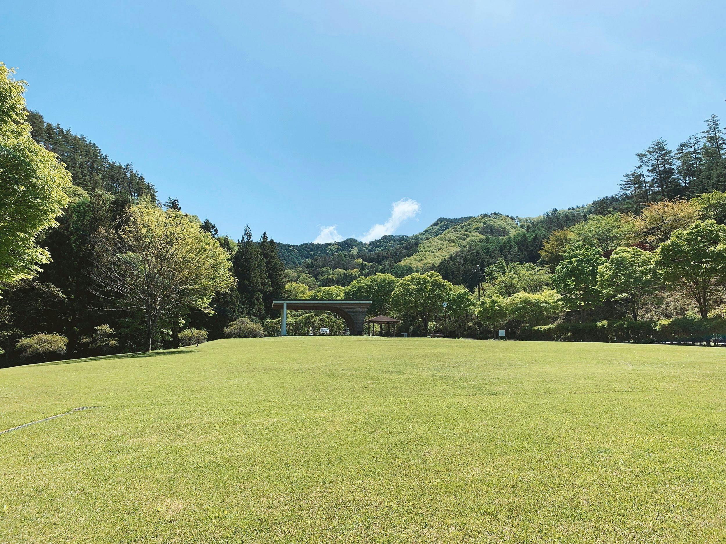 Just steps from the Accommodation! A vast grassy park where you can run around freely