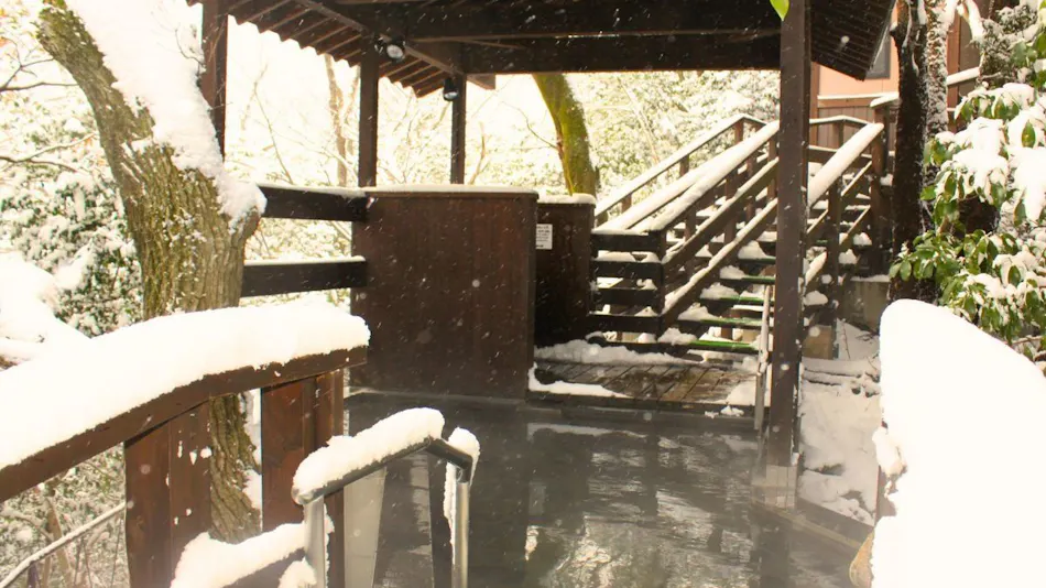 Yunoyama Onsen Anniversary Inn Irodorikoyo