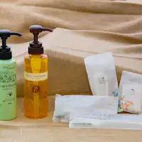 สิ่งอำนวยความสะดวก