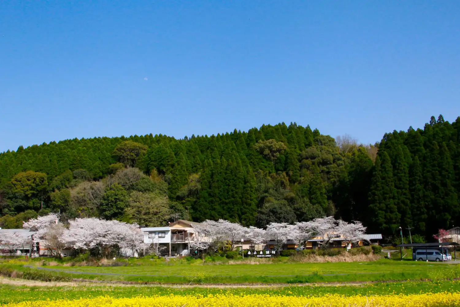 施設画像