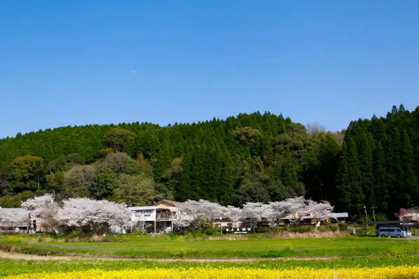 施設画像