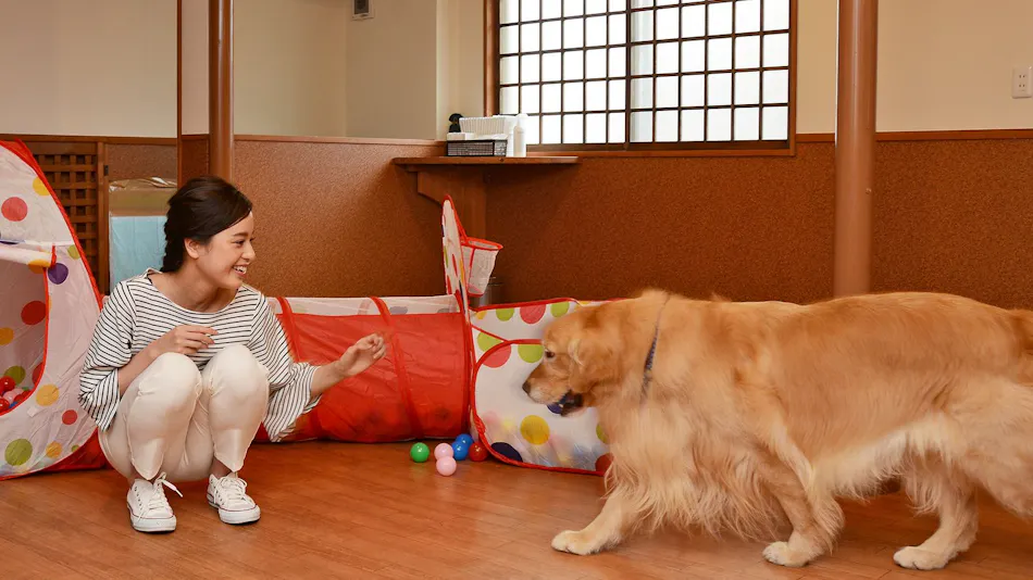 Gero Koyokan Annex Wanpakutei