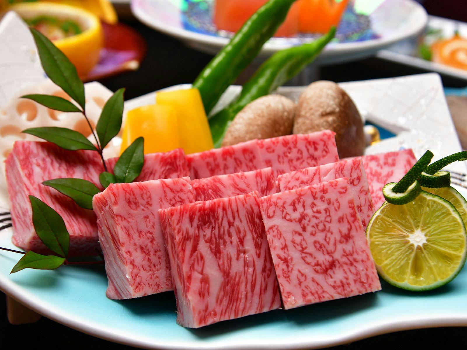 Gero Koyokan Annex Wanpakutei