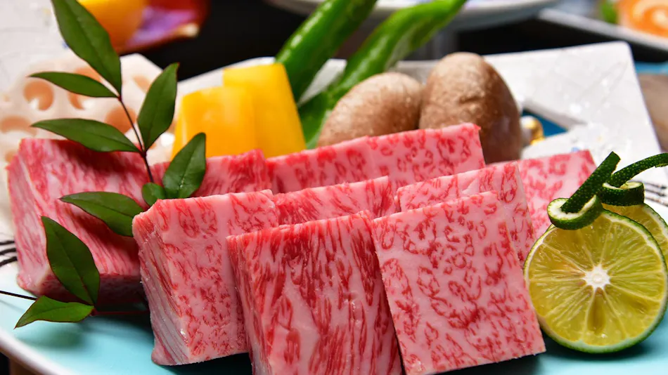 Gero Koyokan Annex Wanpakutei