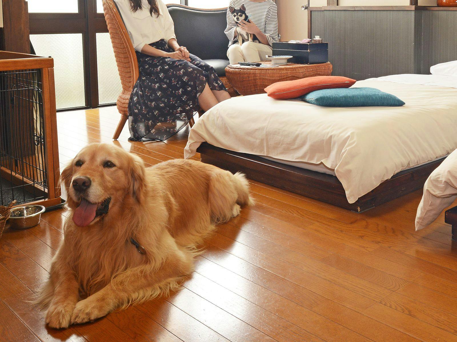 Gero Koyokan Annex Wanpakutei