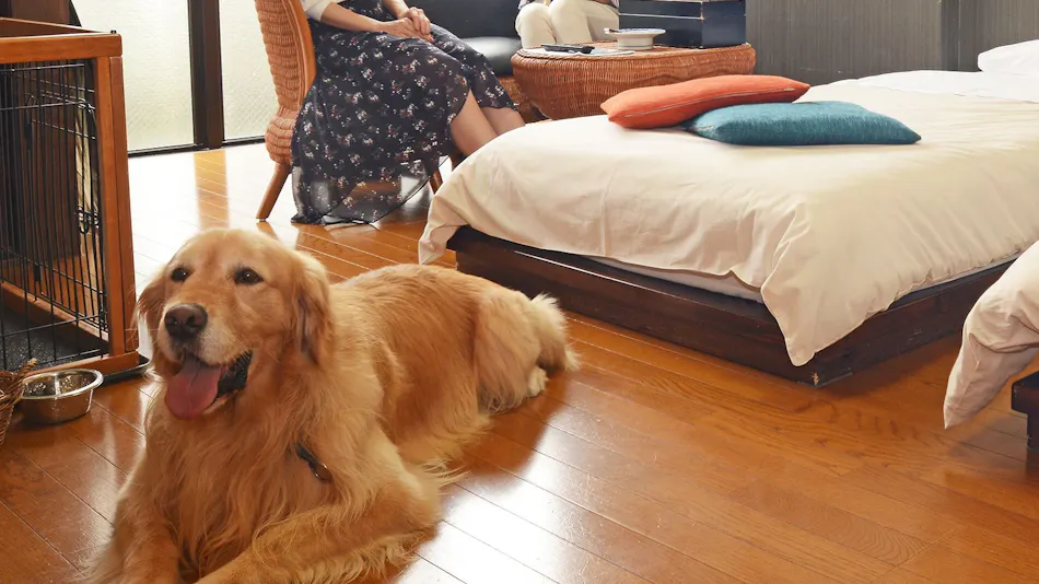 Gero Koyokan Annex Wanpakutei