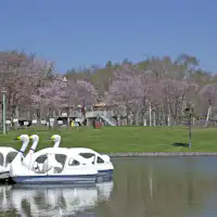 鶴居村運動公園