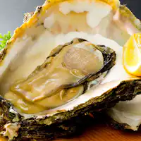 วัตถุดิบเฉพาะฤดูร้อน: หอยนางรมหิน