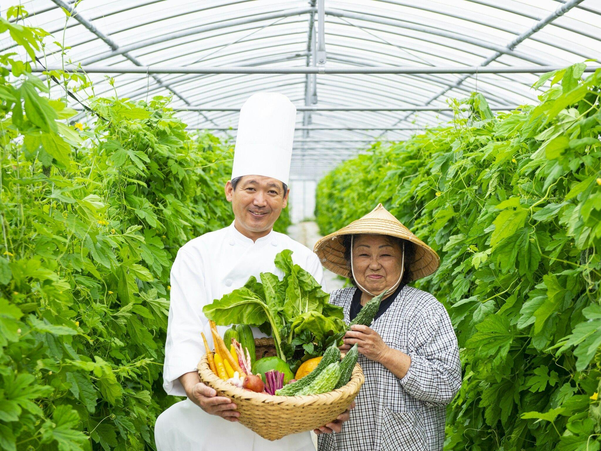 갓 수확한 신선한 채소!