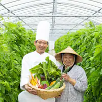 갓 수확한 신선한 채소!