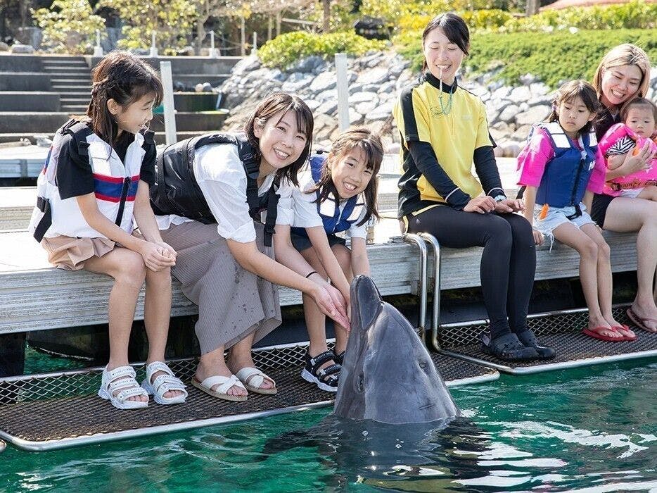 แฮปปี้ดอลฟิน