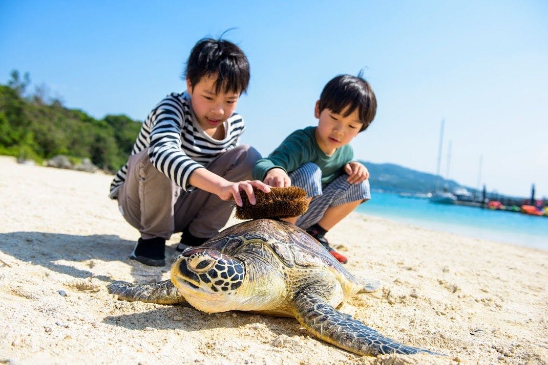 Marine Piazza Okinawa