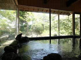 新潟県立植物園 新潟 新潟市 おすすめの人気観光 お出かけスポット Yahoo トラベル