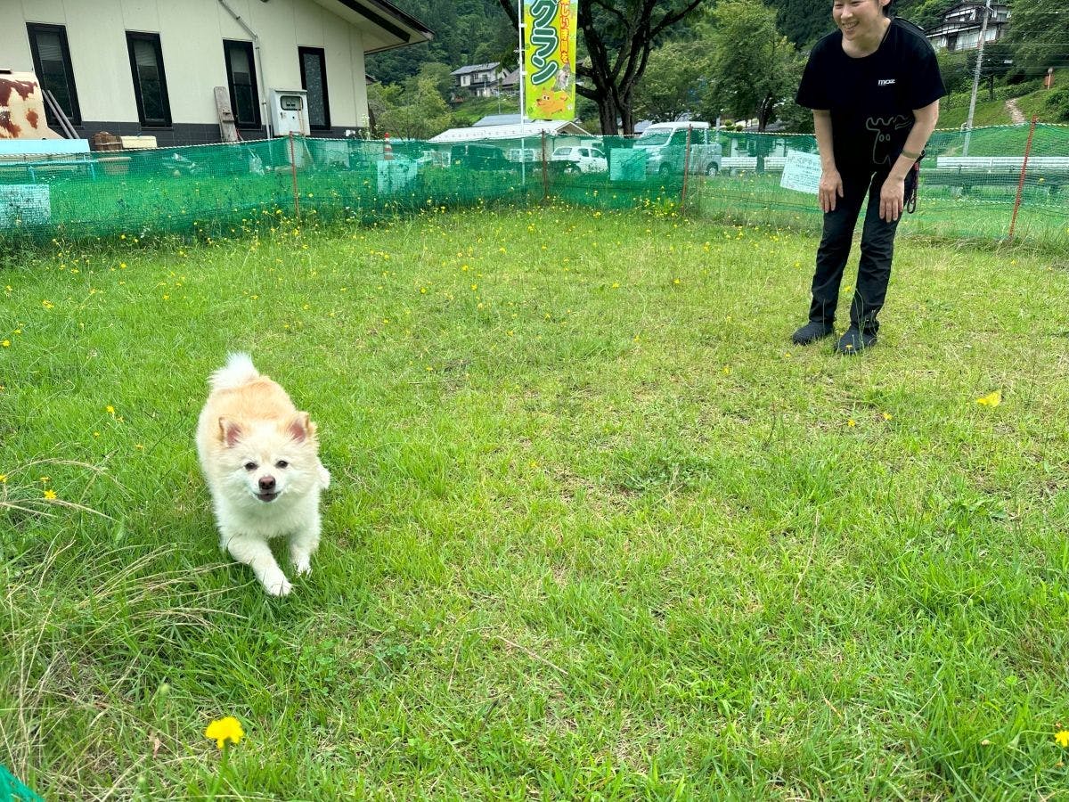 ■ Tersedia area bermain anjing