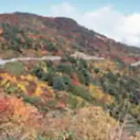 Lá đỏ mùa thu