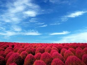 里山で過ごすひととき　湯の澤鉱泉