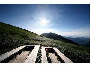 仙の倉山