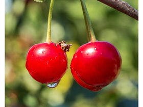 ほほえみの空湯舟 つるや