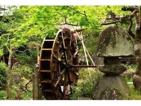 ほほえみの空湯舟 つるや