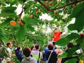ほほえみの空湯舟 つるや