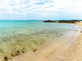ＬｉＢ　ＰＬＵＳ　ＶＩＬＬＡ　ＮＡＧＯ