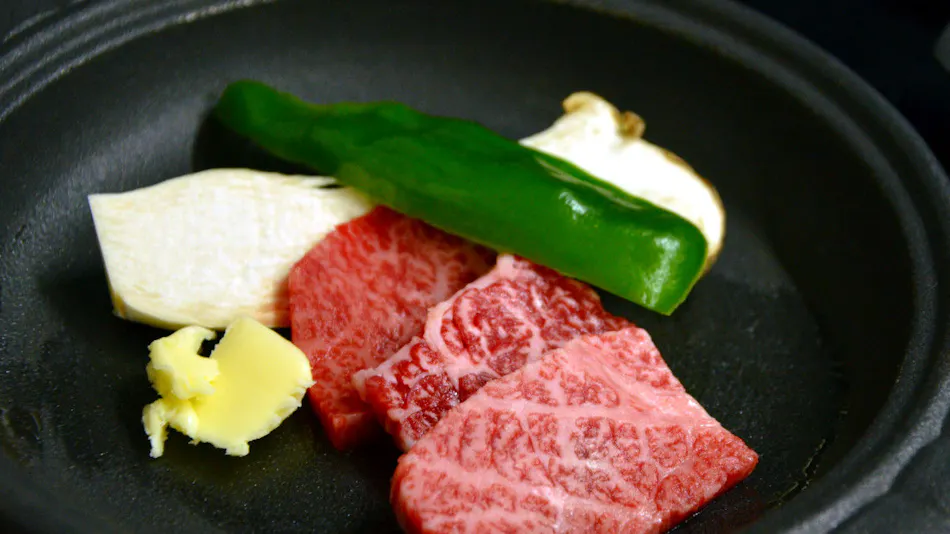 Naruko Onsenkyo Kawabata Onsen Echigoya Ryokan