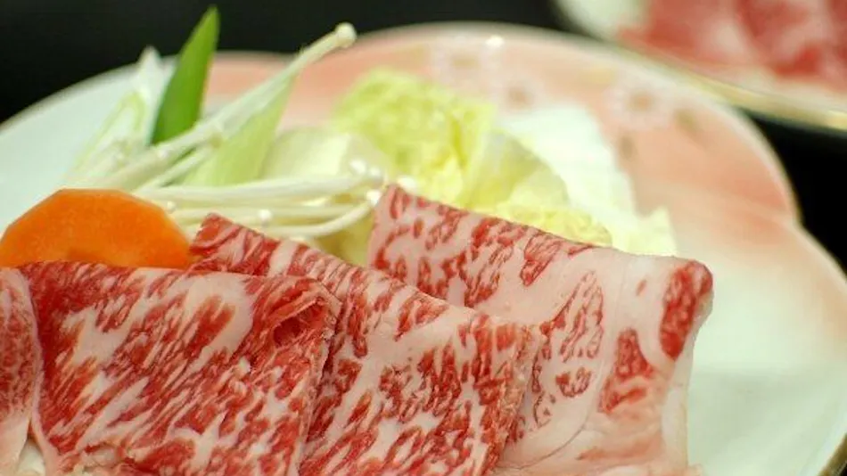 Naruko Onsenkyo Kawabata Onsen Echigoya Ryokan