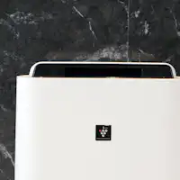 สิ่งของให้ยืม