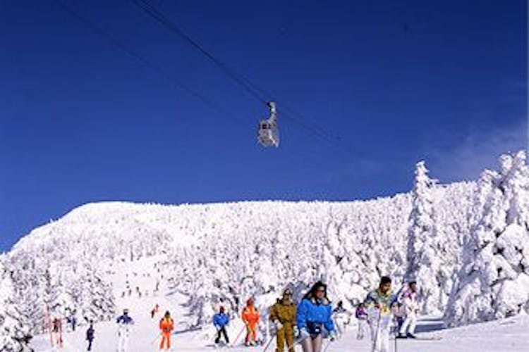 Kkr蔵王白銀荘 国家公務員共済組合連合会蔵王保養所 宿泊予約なら Yahoo トラベル Kkr蔵王白銀荘 国家公務員共済組合連合会蔵王保養所 宿泊予約なら Yahoo トラベル