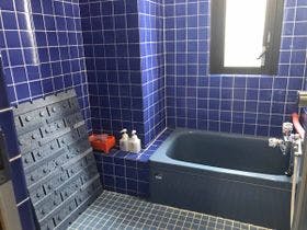 ホテル比婆荘 （ヒバソウ）