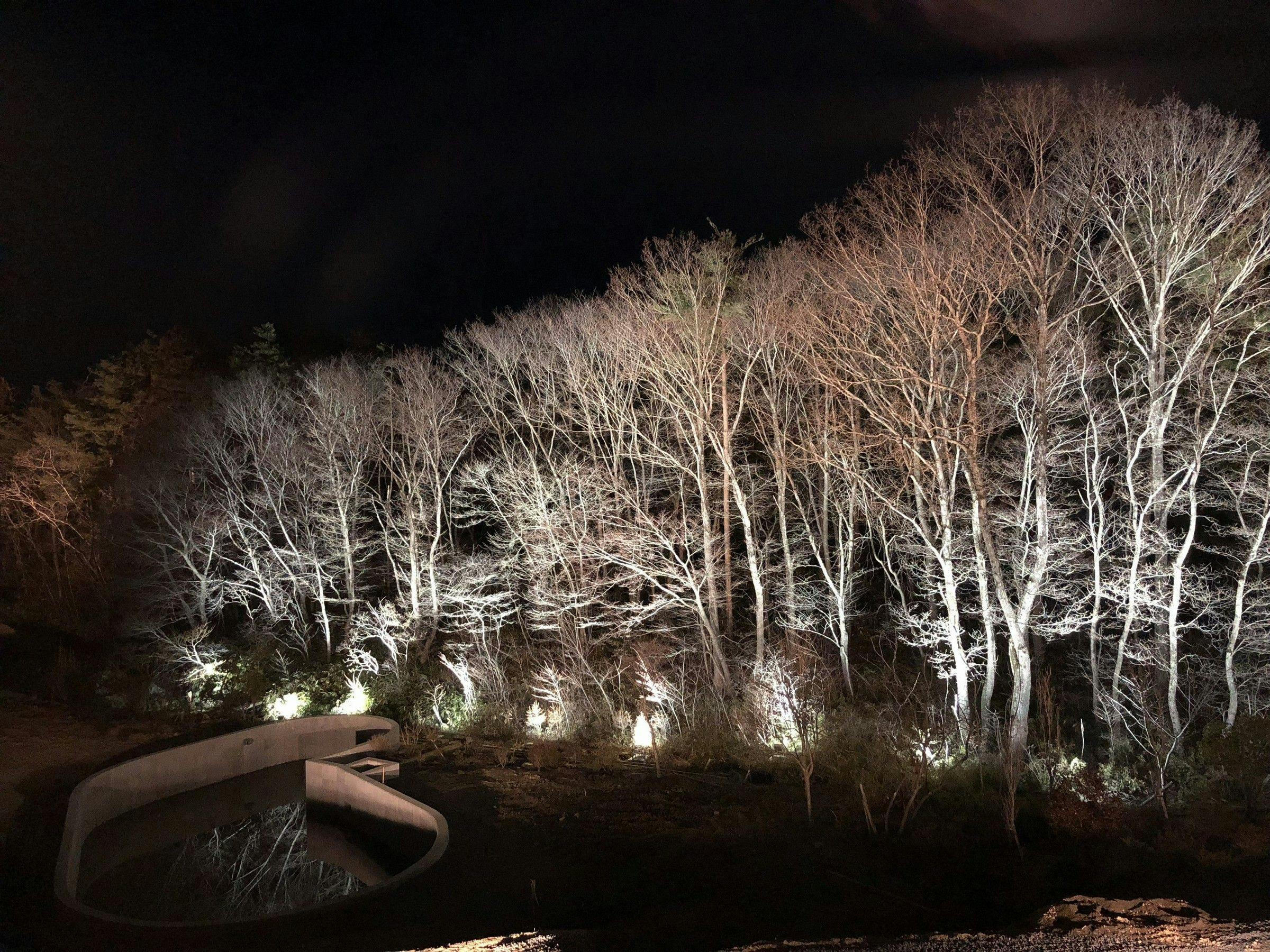 Hidden Inn of World Heritage: Fruit Forest