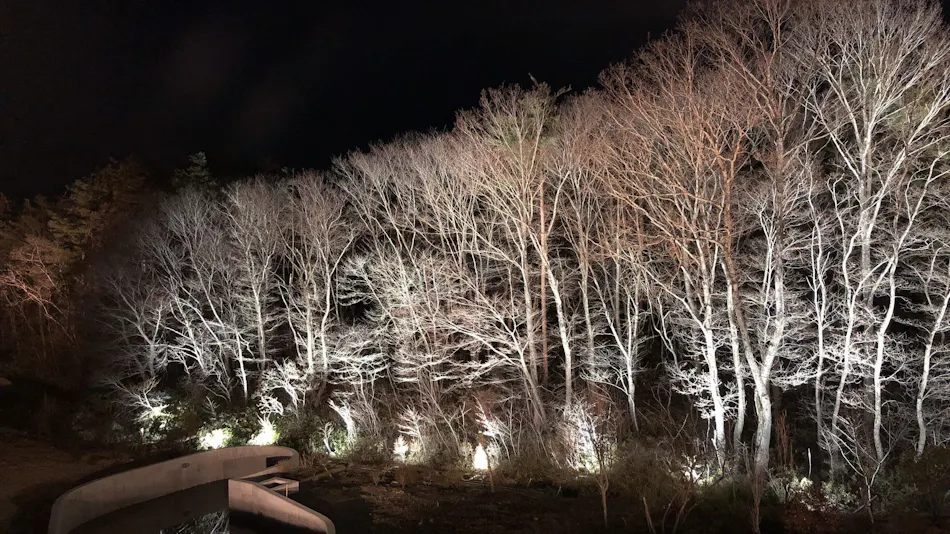 Hidden Inn of World Heritage: Fruit Forest