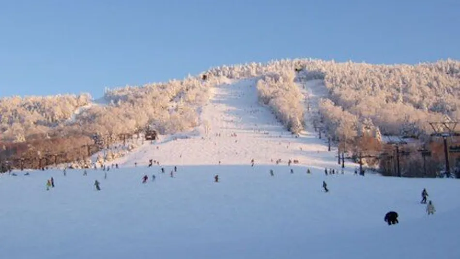 Shiga Kogen Olympic Hotel