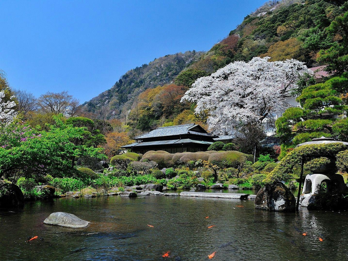早川駅のバストイレ別のお部屋 近いホテル 旅館 10選 お得に宿泊予約 Yahoo トラベル