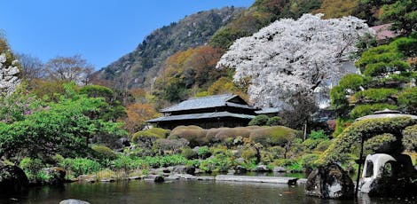 早川駅のバストイレ別のお部屋 近いホテル 旅館 10選 お得に宿泊予約 Yahoo トラベル 早川駅のバストイレ別のお部屋 近いホテル 旅館 10選 お得に宿泊予約 Yahoo トラベル