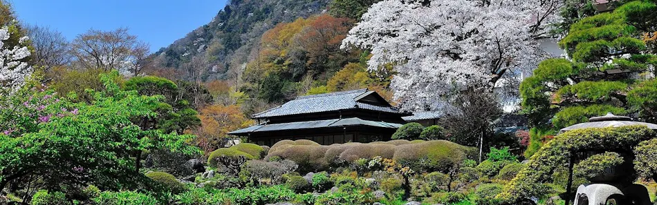 クチコミ 評判 吉池旅館 Yahoo トラベル クチコミ 評判 吉池旅館 Yahoo トラベル