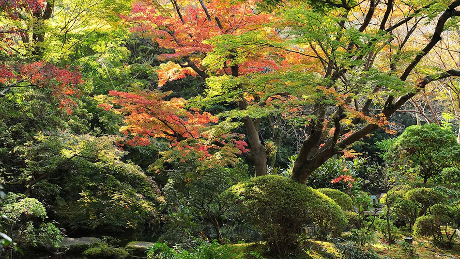 Yoshiike Ryokan
