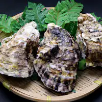 Tiram batu dari Toyama