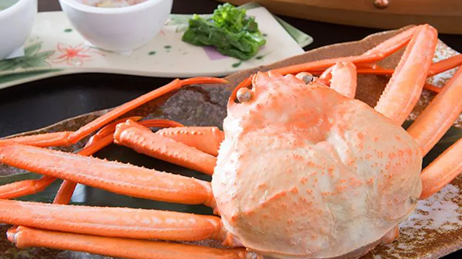 Natural Hot Spring Beachside Inn Asahiya