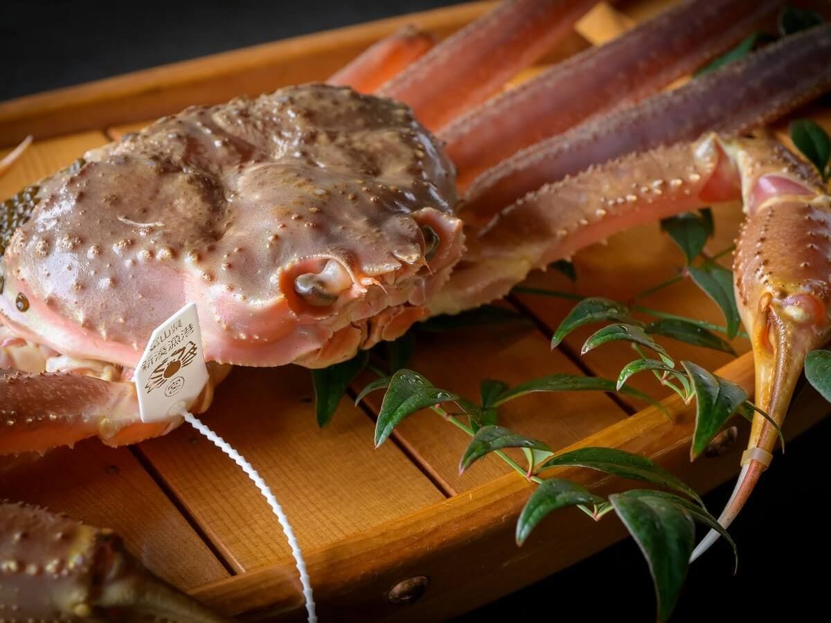 富山の貸切風呂ありの おすすめホテル 旅館 14選 お得に宿泊予約 Yahoo トラベル