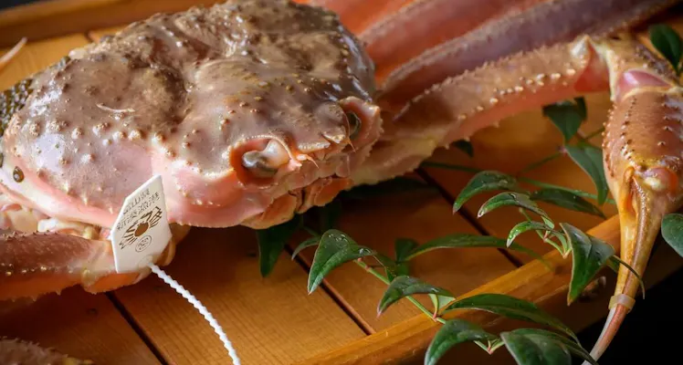 富山の貸切風呂ありの おすすめホテル 旅館 14選 お得に宿泊予約 Yahoo トラベル 富山の貸切風呂ありの おすすめホテル 旅館 14選 お得に宿泊予約 Yahoo トラベル