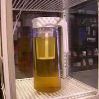 บริการชาโฮจิในตอนเช้า