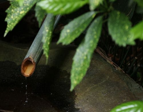 施設◆鹿威しと色鮮やかな緑が広がります