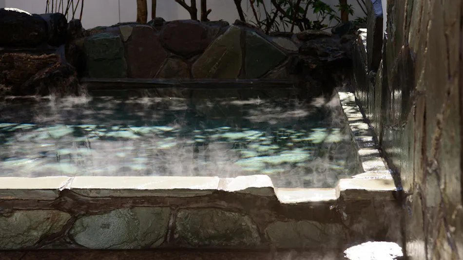 Yufuin Onsen Ryokan Koto no Hanagokoro