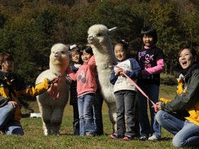 ホテルモンテローザ