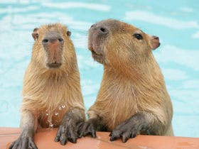 ホテルモンテローザ