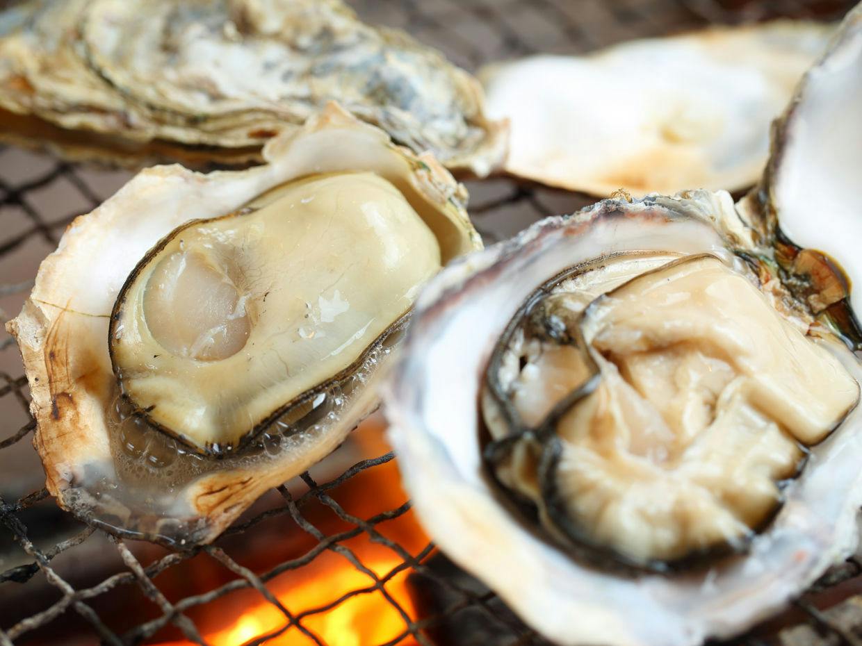 Tsuru-so Inn: Takezaki Crab and Japanese Sake